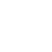 Back Icon